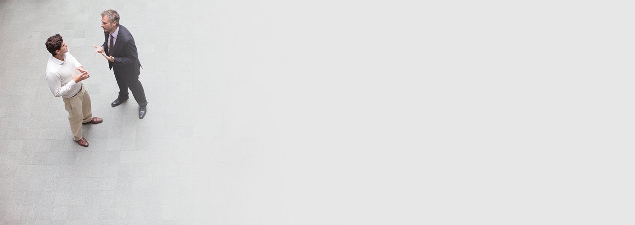 Partneritet fleksibël